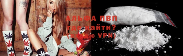 ГАЛЛЮЦИНОГЕННЫЕ ГРИБЫ Кодинск