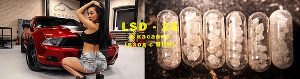 ГАЛЛЮЦИНОГЕННЫЕ ГРИБЫ Кодинск