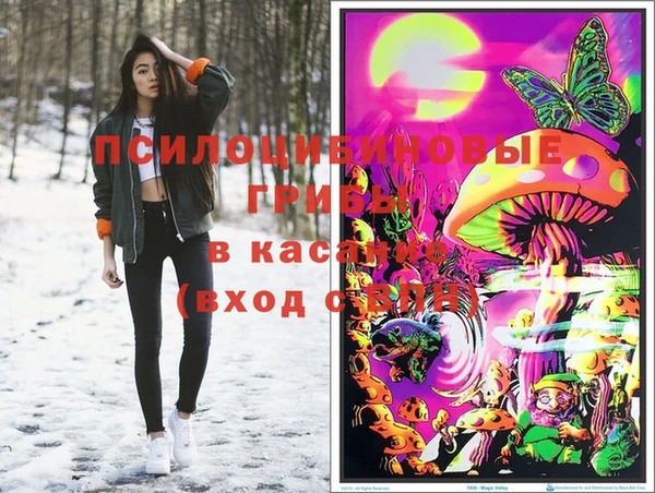 ГАЛЛЮЦИНОГЕННЫЕ ГРИБЫ Кодинск