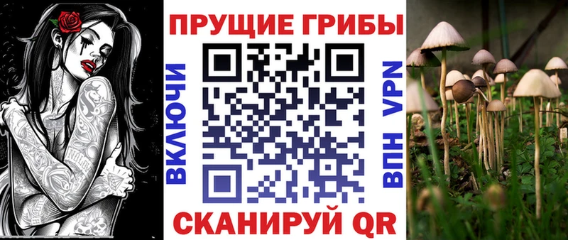 Псилоцибиновые грибы мухоморы  Купить  Ельня 